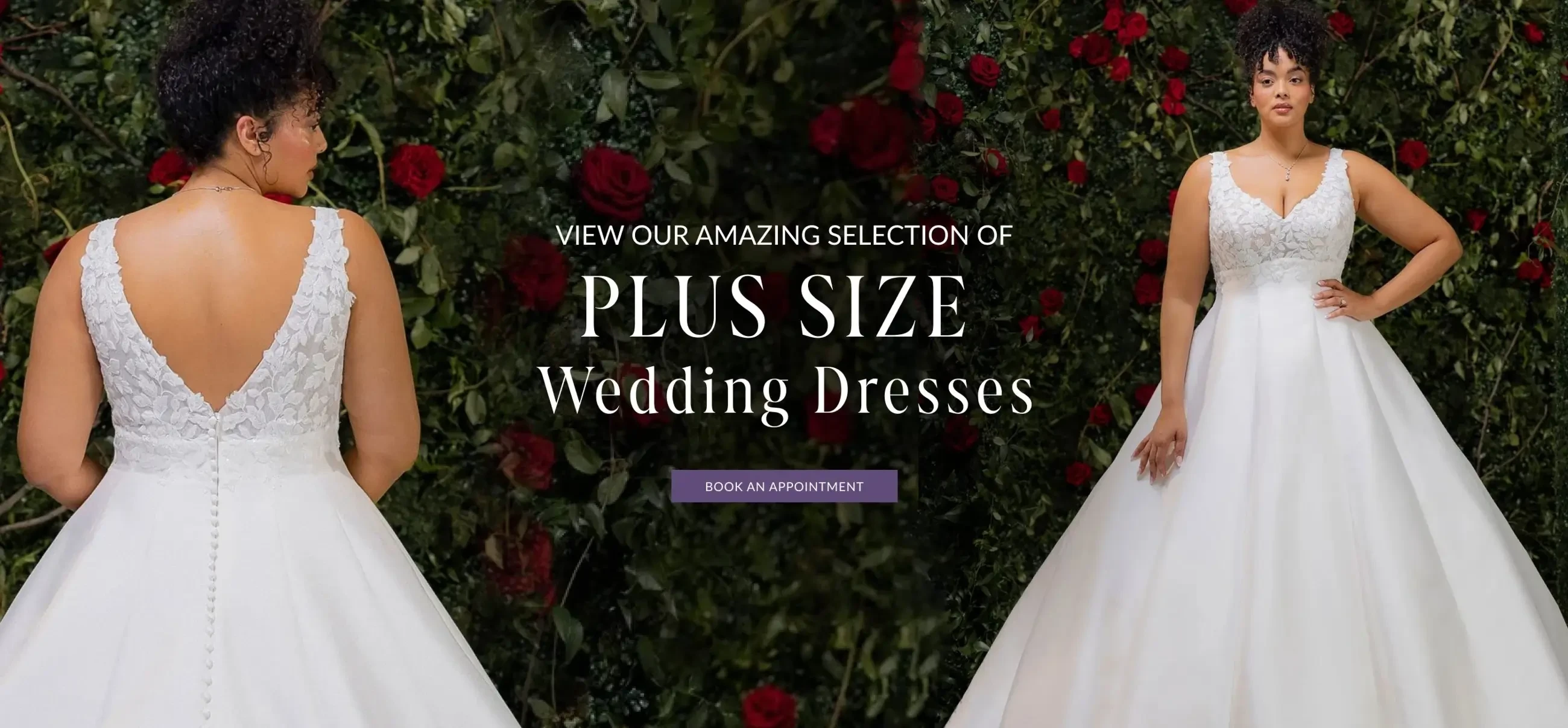 Plus Size Wedding Dresses at Bridal Novias