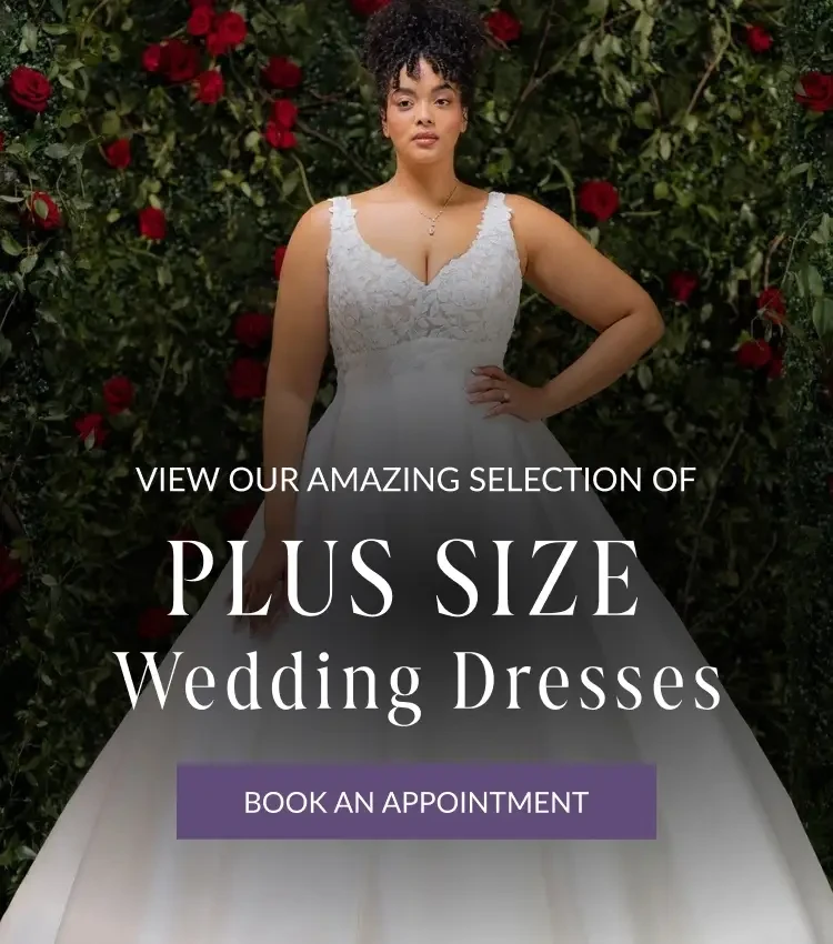 Plus Size Wedding Dresses at Bridal Novias