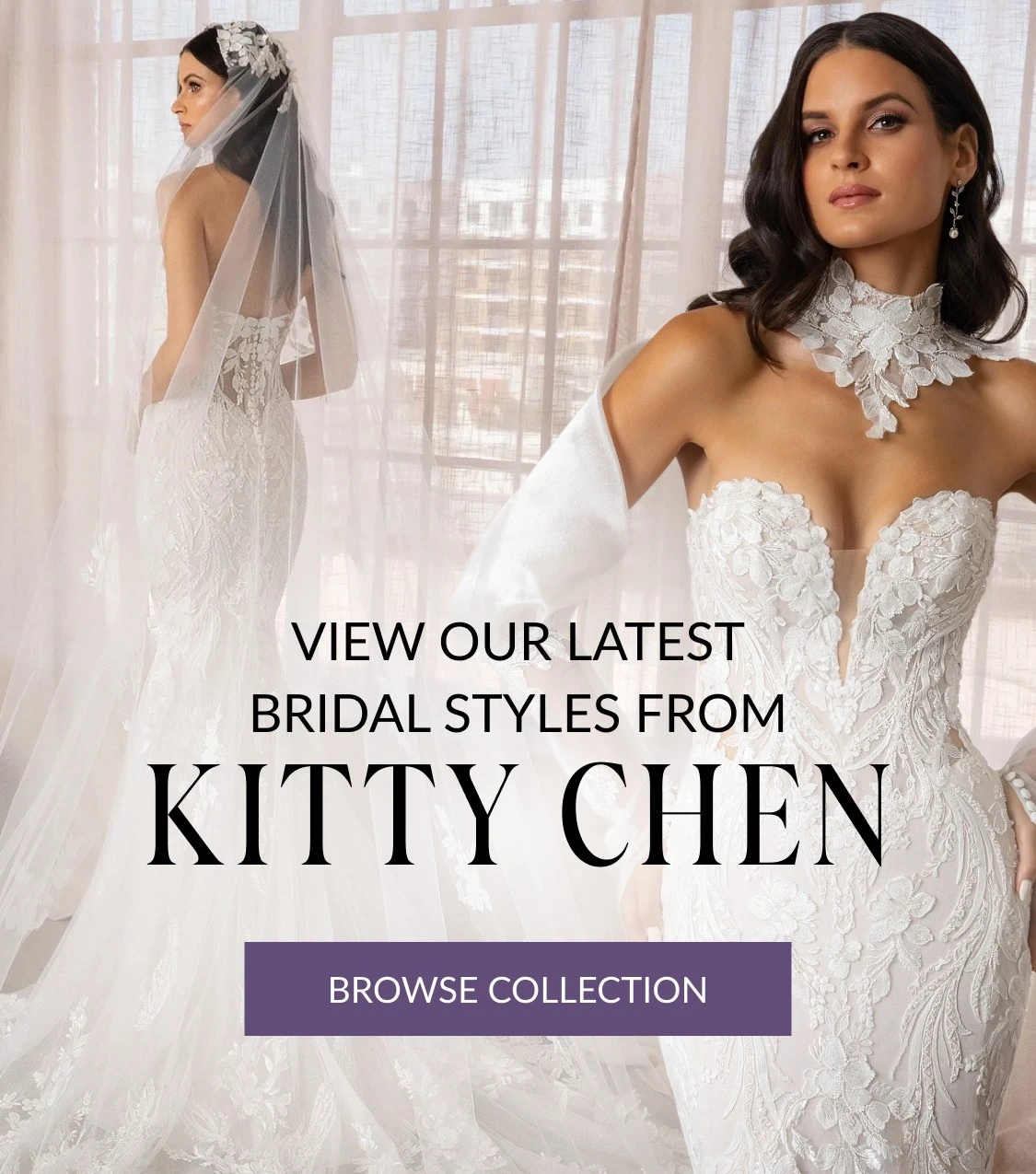 Kitty Chen Mobile Banner