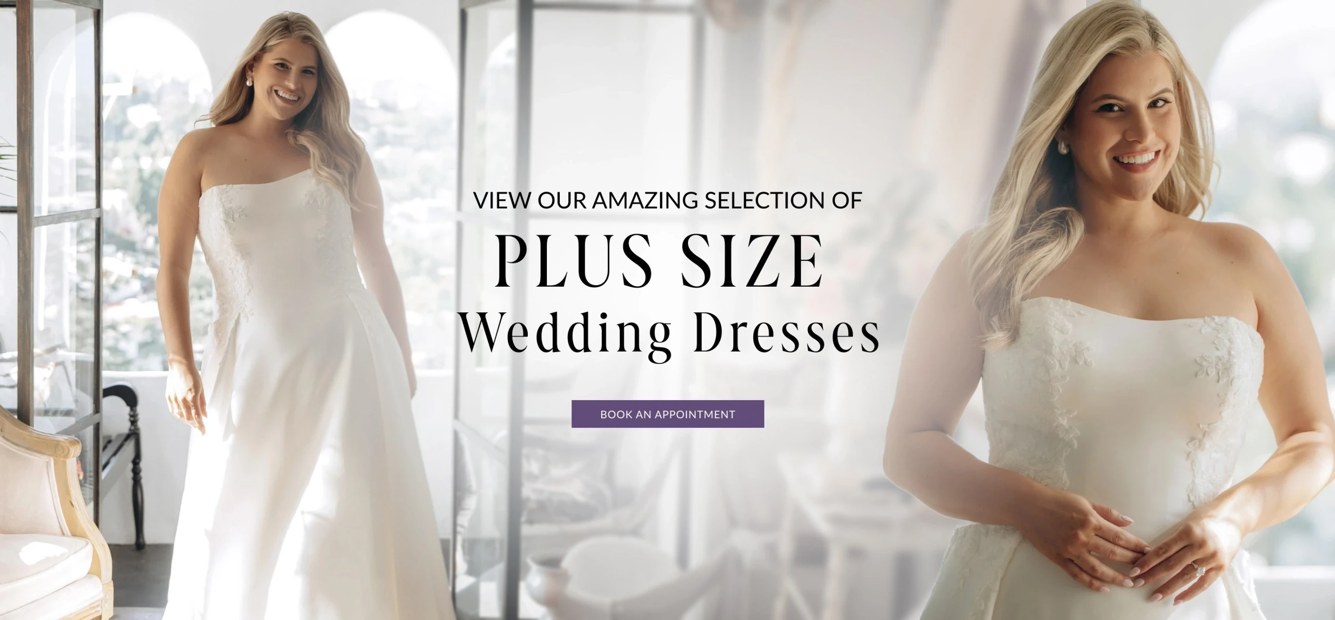 Plus Size Wedding Dresses Desktop Banner